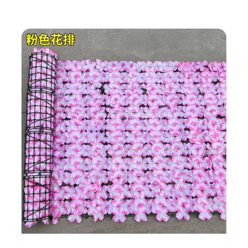 Comercio exterior transfronterizo de Amazon simulación planta valla valla césped uva valla de hoja verde valla valla