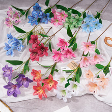 ����3DС�ٺϼٻ�����c�û��߼������컨��Ʒ�[���͏d�b����l