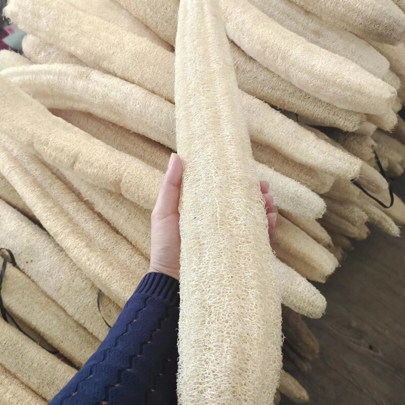 loofah wholesale old loofah flesh brush pan wash bowl wash bath back water melon medicinal natural loofah tendons loofah wholesale old loofah flesh brush pan wash bowl wash bath back water melon medicinal natural loofah tendons