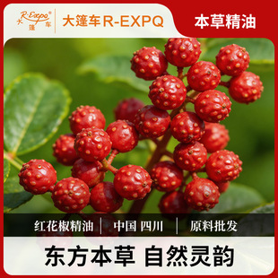 �t��������ֲ��ԭ�����l�����o���{�㰴Ħ��޹SPA����܇����