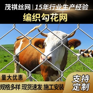 ����\���ι����W�B�u��ţ���Bֳ�W�G���Bֳ���{�o���F�z�����W