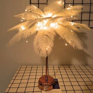 Spot Led Light Battery Box USB Dual-Purpose Bedroom Feather Night Light Creative Room Decorative Light String Lantern