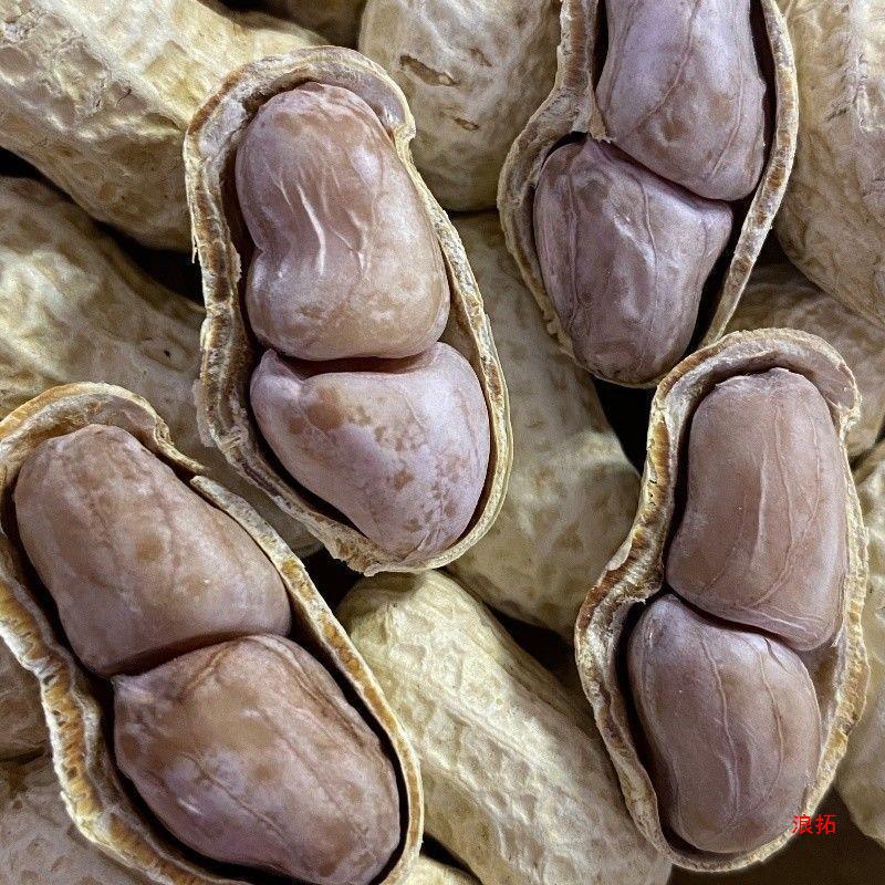 水煮花生蒜香花生盐干花生500g-1500g水煮花生蒜香花生晒干