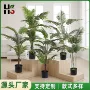 植物仿真家居散尾葵摆件