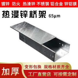 热浸镀锌桥架厂家锌层均匀200x100厂家100x100直销防火金属桥架