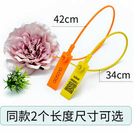 工厂供应塑料封条防伪标牌物流集装箱封条煤炭封签防调包扣扎带