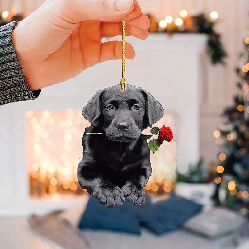 acrylic pendant