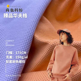 250克华夫格 涤棉肌理凹凸时尚华夫格面料 运动服卫裤卫衣T恤面料