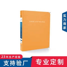 30孔多孔文件夹定制logo 重要票据归档收纳夹 多孔插页夹活页册