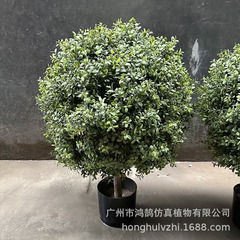 シミュレーション楊梅草球樹落花生木葉円球樹ユーカリミラノ景観樹シミュレーション植物鉢植え卸売り