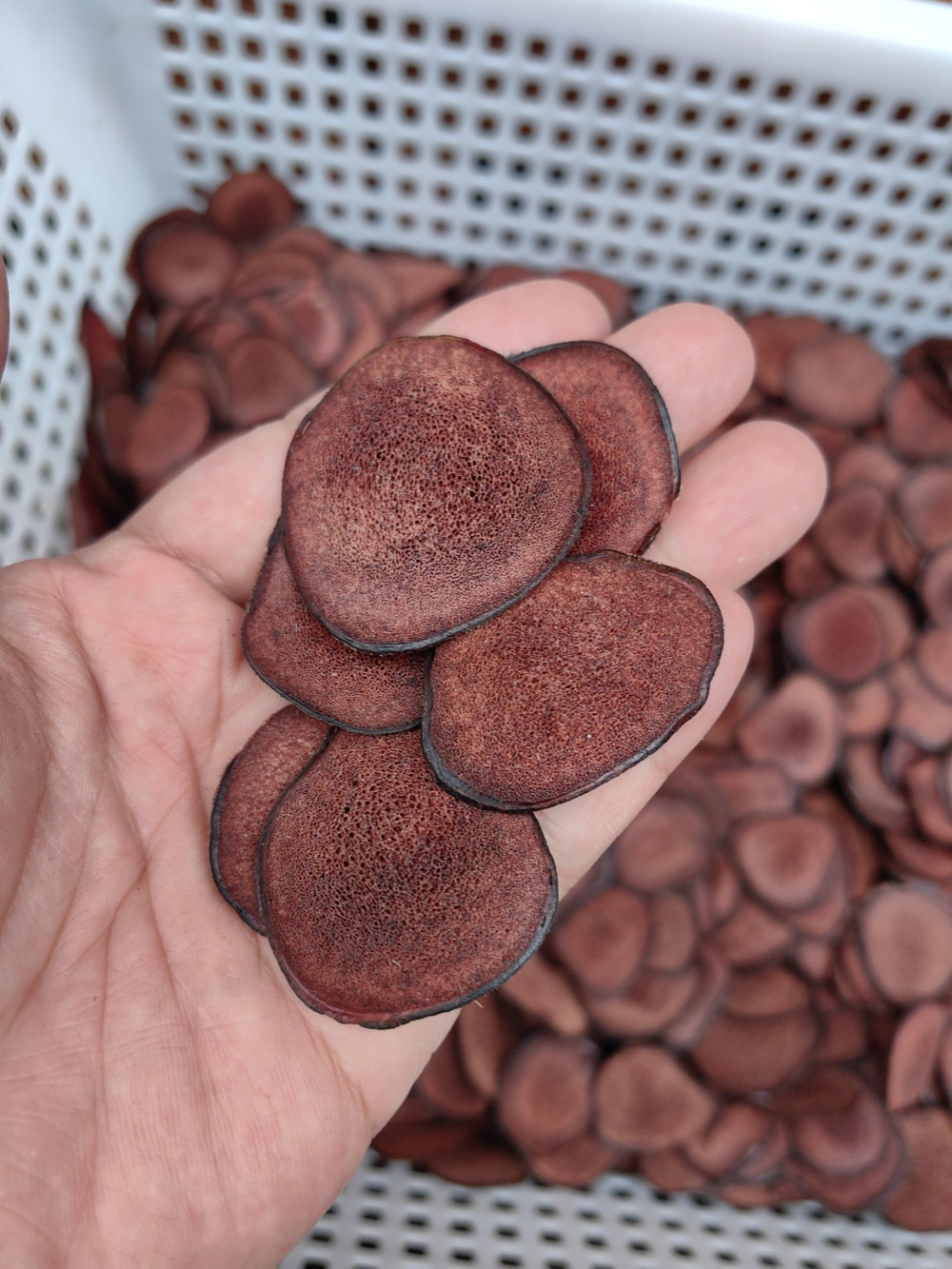 Deer Antler Blood Slices Lu Rong Xue Pian 50g Dried Slices for Soup and Wine Infusion specifications