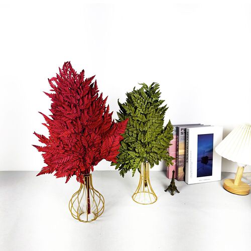 Yunnan Eternal Flower Sheep Fern Leaf Dried Flower High Mountain Sheep Fern Leaf Soft Furnishing Decoration Bouquet Fern Leaf Matching Material