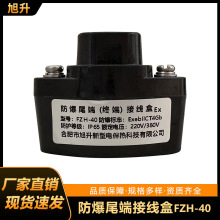 伴热带尾端接线盒防爆伴热带防爆接线盒三通二通终端电源接线盒