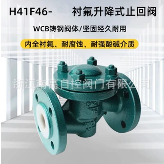 南高阀门 铸钢升降式止回阀 H41F46-16C 碳钢WCB 耐酸碱腐蚀