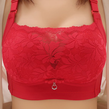 |ρ羳ŮʿСؾ۔nĨո´oȦo