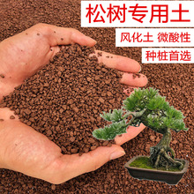 松树土五针松罗汉松黑松黄山松土风化土红土酸性土壤盆景土