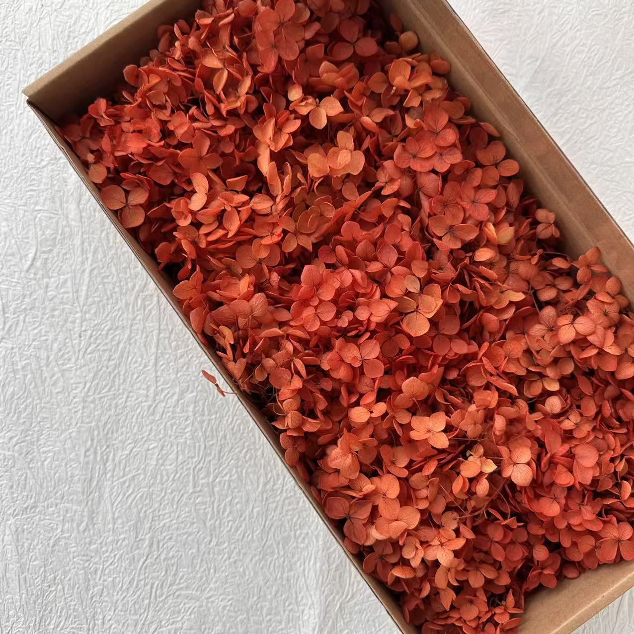 Couleur absorbant le rouge orangé / 5G en boîte