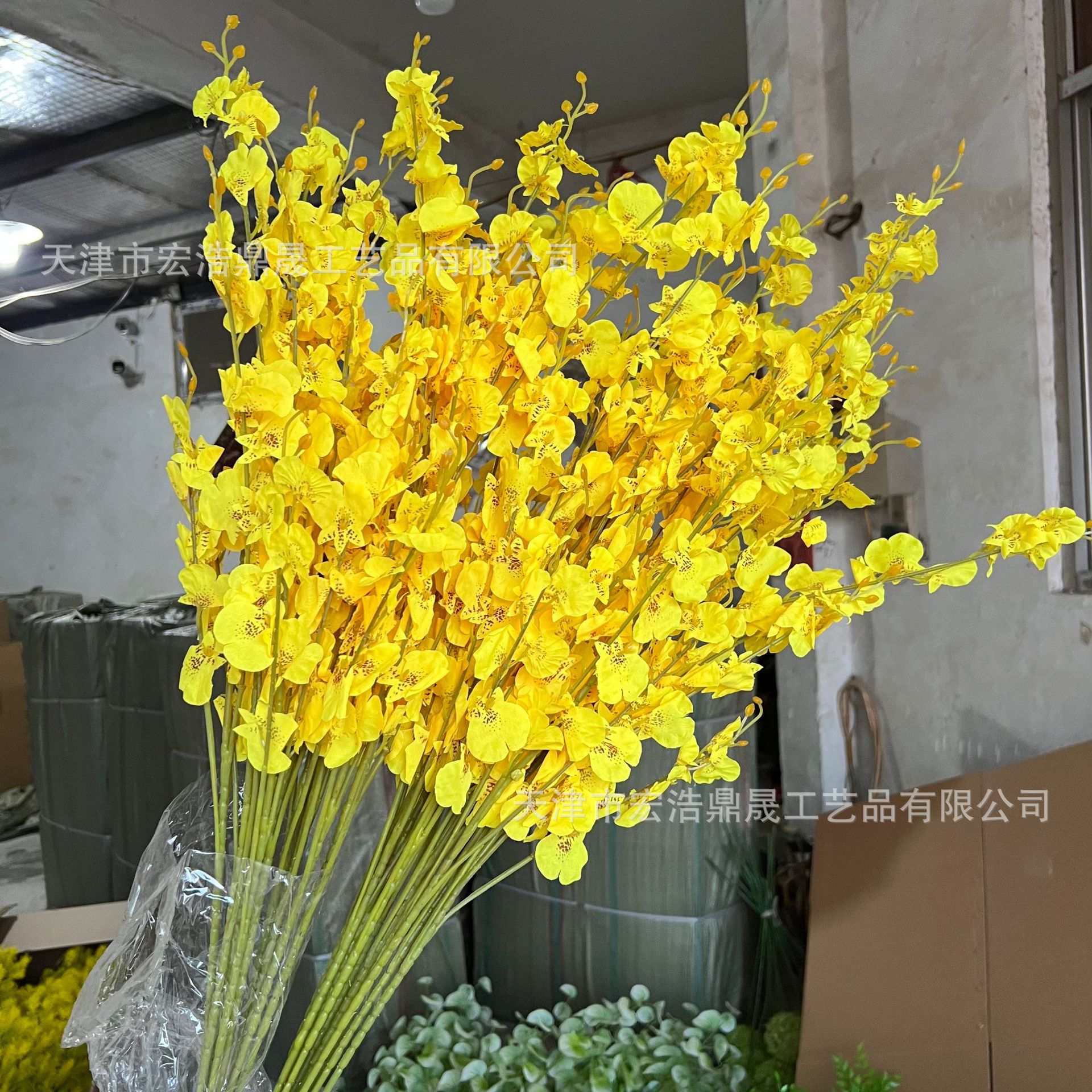 776e246306a822a52bd961887ac8eb