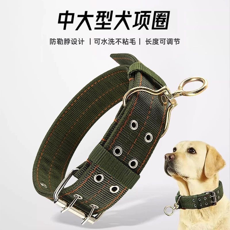 Dog Collar Widened Double Row Medium-Sized Dog Collar Dog Leash Large Dog Small Dog Walking Leash Thickened Dog Collar
