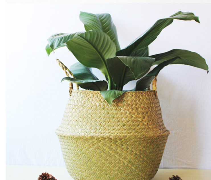 微信截图_20221220225401