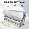 Guangzhou Holy days Electric Radish Dedicated Peeler Radish peeler radish automatic Peeler