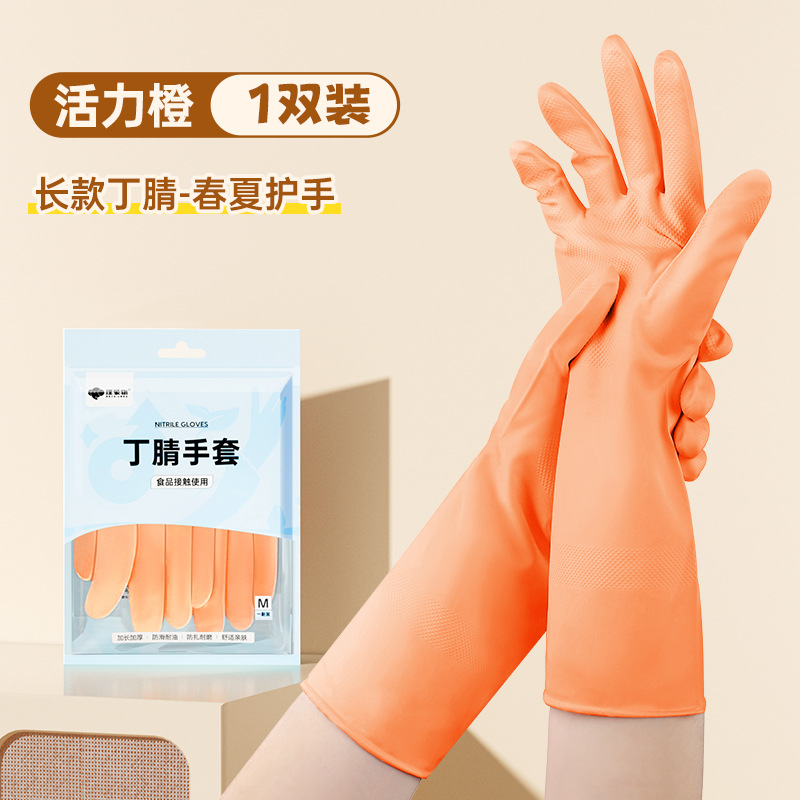 생생한 오렌지