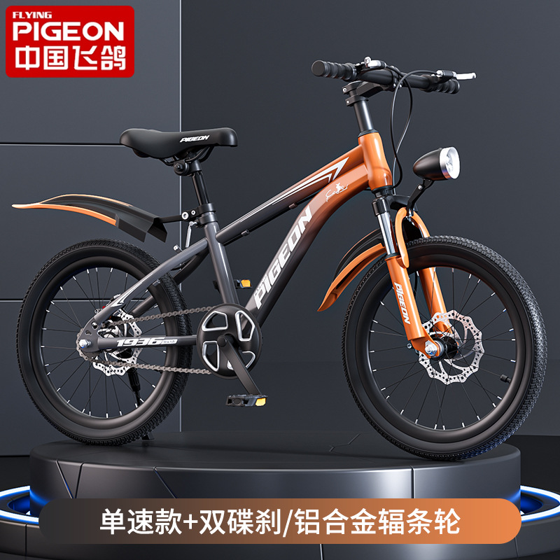 Gradient black + single speed spoked wheel + shock absorption/gift package