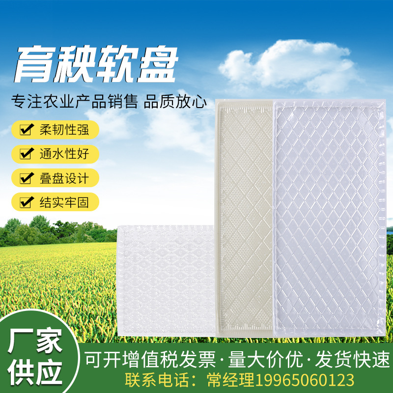 厂家直供育秧软盘 水稻育秧软盘 插秧机软盘 水稻软盘批发