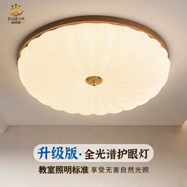 吊灯;吸顶灯;室内壁灯