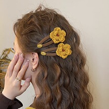 �S���ɿ���~�l�AŮᘿ�ë������߅�A2025�¿�߶˄����Aǰ�~�^�