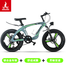 镁合金山地自行车免安装20寸22寸变速碟刹一体轮儿童（处理库存）