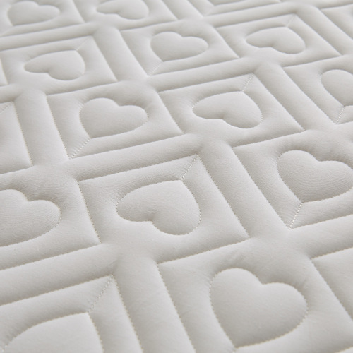 Cotton coconut palm spine protector | Thai latex mattress home thickened student dormitory tatami custom latex mat