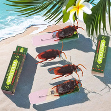 �羳���˿��������˹��؂��Ц��һ��������������됺�������