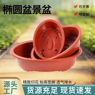 �E�A�λ���\���辰�� ���⻨�� �S�����l�Ӻ����ϻ���羳���Q