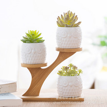 ľ��������Ӷ��⻨����k�������dС������������ռ{���������