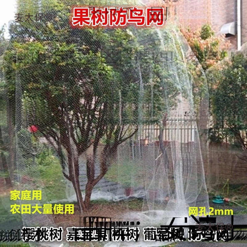 果树防鸟网 樱桃树枇杷树嘉宝树防鸟罩尼龙网葡萄园挡鸟拦麦太保