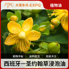 圣约翰草浸泡油西班牙原料批发开背SPA按摩植物基础油大篷车精油