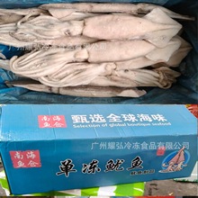 南海鱼仓单冻鱿鱼20斤件整条原鱿鱼干冰单冻厚肉整墨鱼凉拌鱿鱼圈