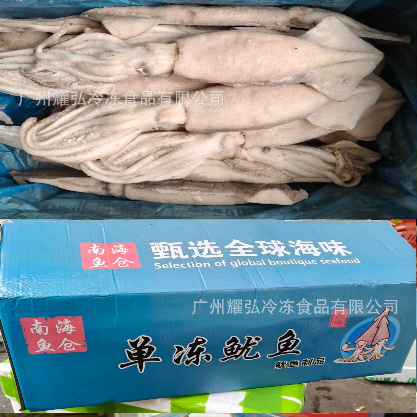 南海鱼仓单冻鱿鱼20斤件整条原鱿鱼干冰单冻厚肉整墨鱼凉拌鱿鱼圈