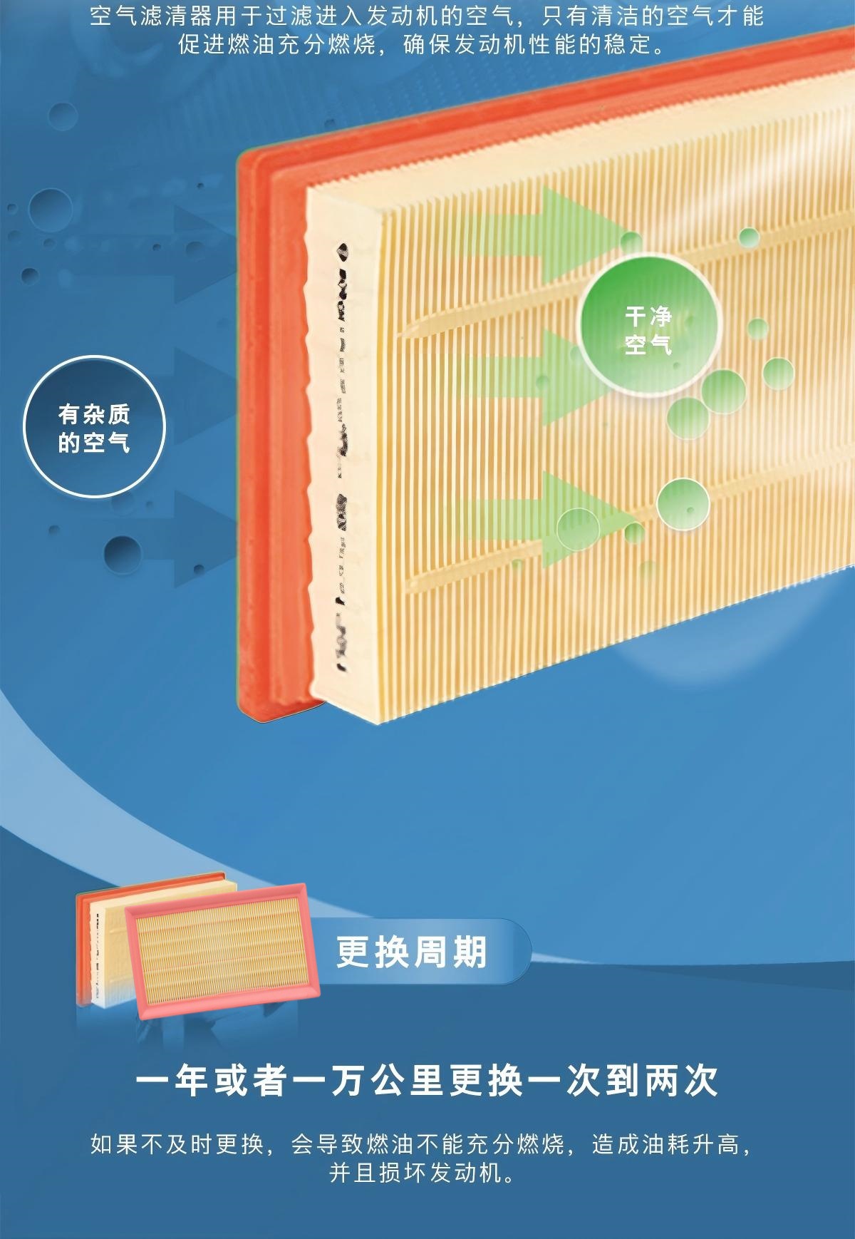详情9
