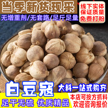 白寇香料批发白豆蔻白扣干货中草药白寇豆蔻卤肉调料大料豆蔻粉