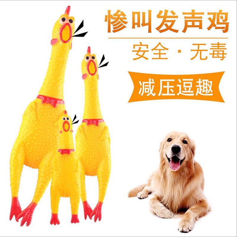 惨叫绝望鸡尖叫鸡耐咬会叫的批发怪叫战斗解压