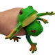 Creative decompression toy soft glue vent frog pinch fun spoof simulation Frog pull music decompression artifact