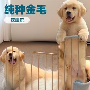 ���l���N��ëȮ��Ȯ���̻��w�����Ǽ܌�äȮ�����o�lȮ���ﹷ��