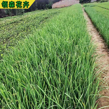 �R�m ͥԺ�G���û��R�m���� С�^�^�pֲ���޸������R�m�������l