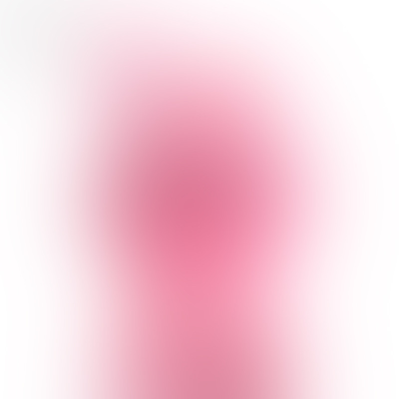 批发现货可爱卡通毛绒公仔玩具小狗考拉爱心饼干8寸5寸抓机娃娃