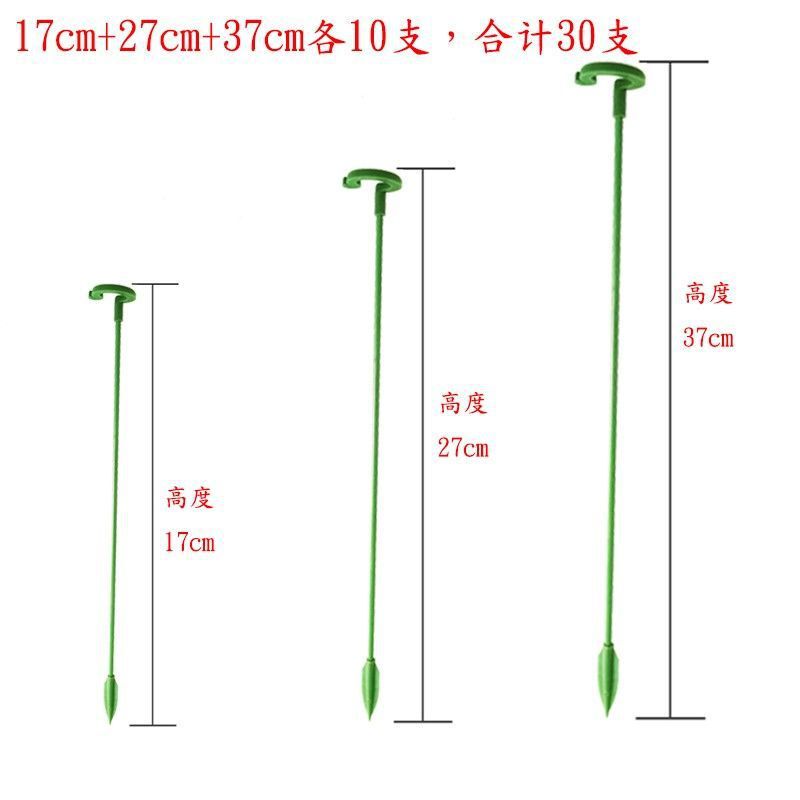 多肉植物胡蝶蘭の花花植物転倒防止趙志孫バラスタンドスタンドオーキッドスタンドサポートロッド|undefined