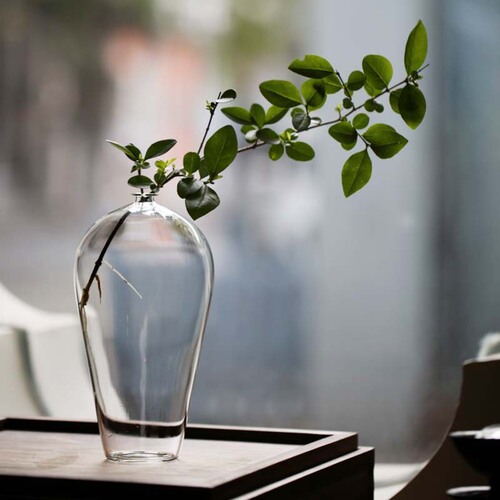 Transparent glass vase flower arrangement water cultivation plum vase Zen tea ceremony ornaments home living room decoration Japanese-style hydroponic flower device