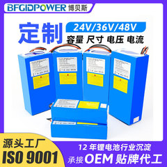 電気自動車リチウム電池 13 列 48V10 列 36V10Ah12AH20Ah 助力車リチウム電池パックカスタマイズされたパック
