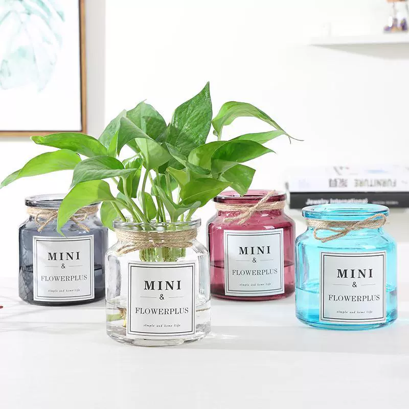 Гидропонная стеклянная ваза в европейском стиле, красочная прозрачная простая пасторальная стильная креативная водяная зеленая ваза из сушеных цветов, украшения